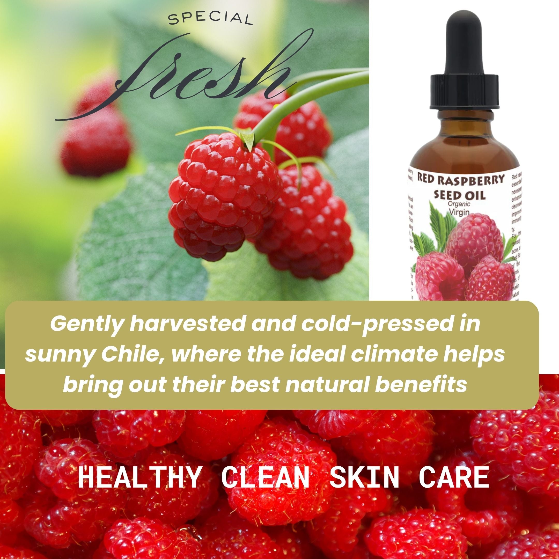 Red raspberry seed oil (Organic, cold pressed, undefined)
